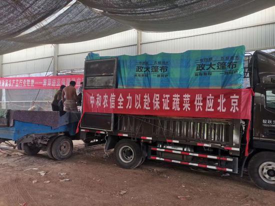 4天内,京津冀农产品行业联盟调运1400吨蔬菜抵京.尹作丰 摄